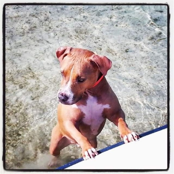 Clothes, jewelry, NWT purses, makeup, literally have to sell everything I own - Picture 11 of 16